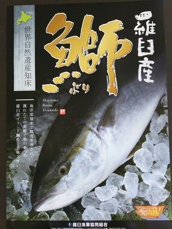 �山����ŷ�����衺�֥ꡡ7����������塡������̵��