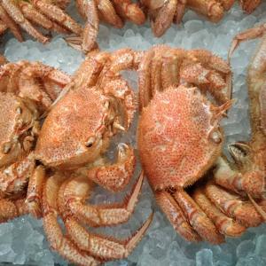 山סӤˡ1աʥܥѡˣߡ