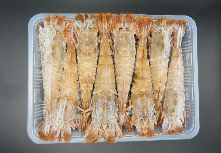 쥢ӡ֥ӡ粦ӡˡסѥå
