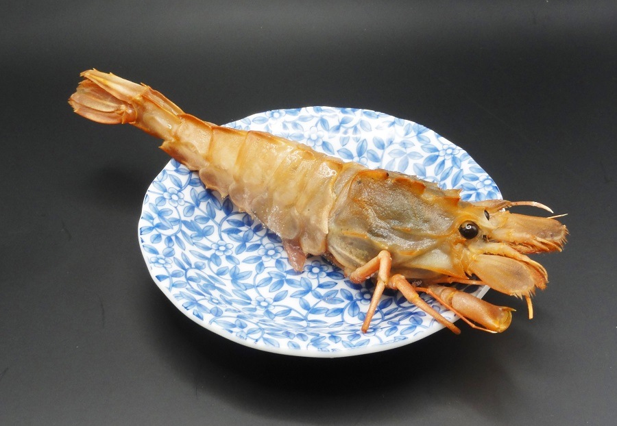 쥢ӡ֥ӡ粦ӡˡסѥå