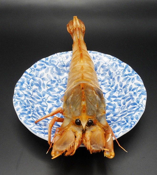 쥢ӡ֥ӡ粦ӡˡסѥå