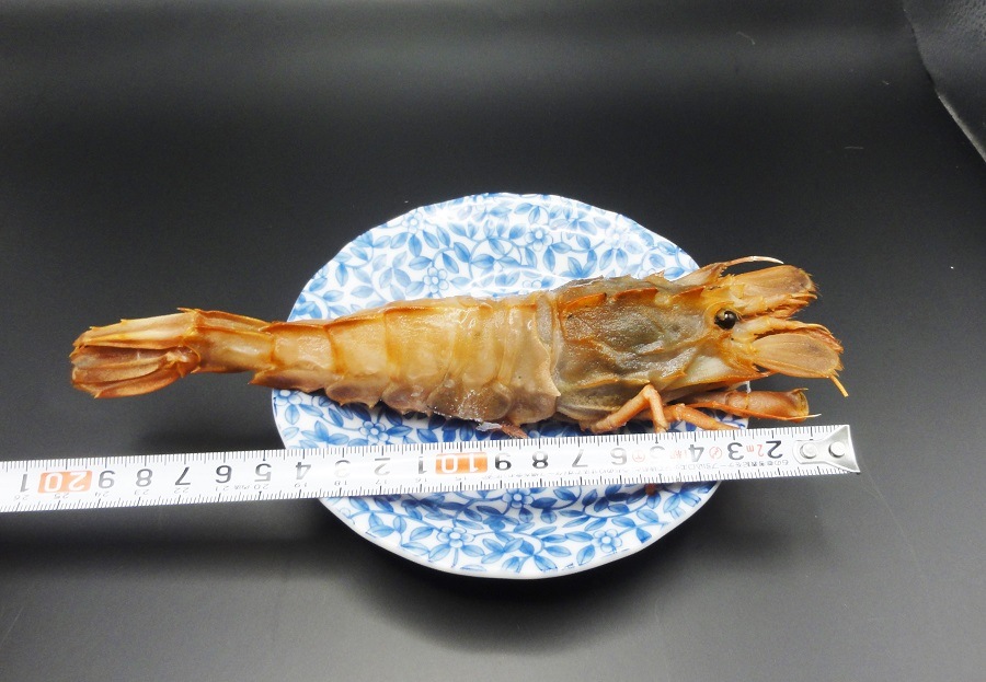 쥢ӡ֥ӡ粦ӡˡסѥå