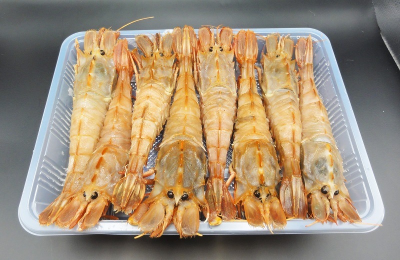 쥢ӡ֥ӡ粦ӡˡסѥå