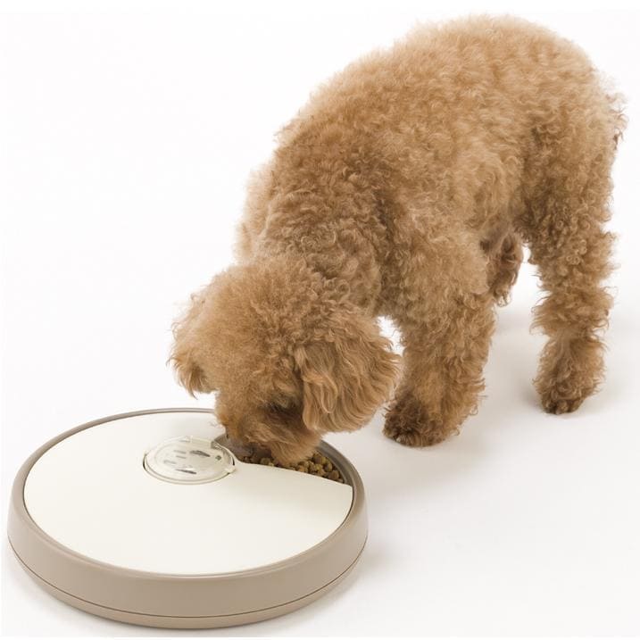 �ڥåȥǥ��å��� PET DISH PD-06
