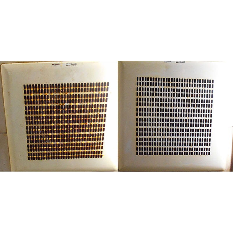 �٥ȥ٥���������� ������������� ��Ǥʱ������ѥ��꡼�ʡ� 20����