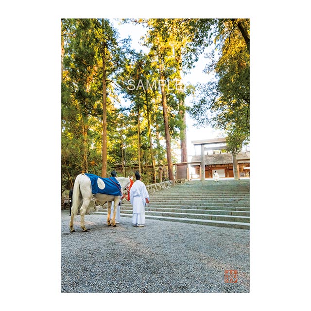 ����(�ݥ��ȥ�����5)