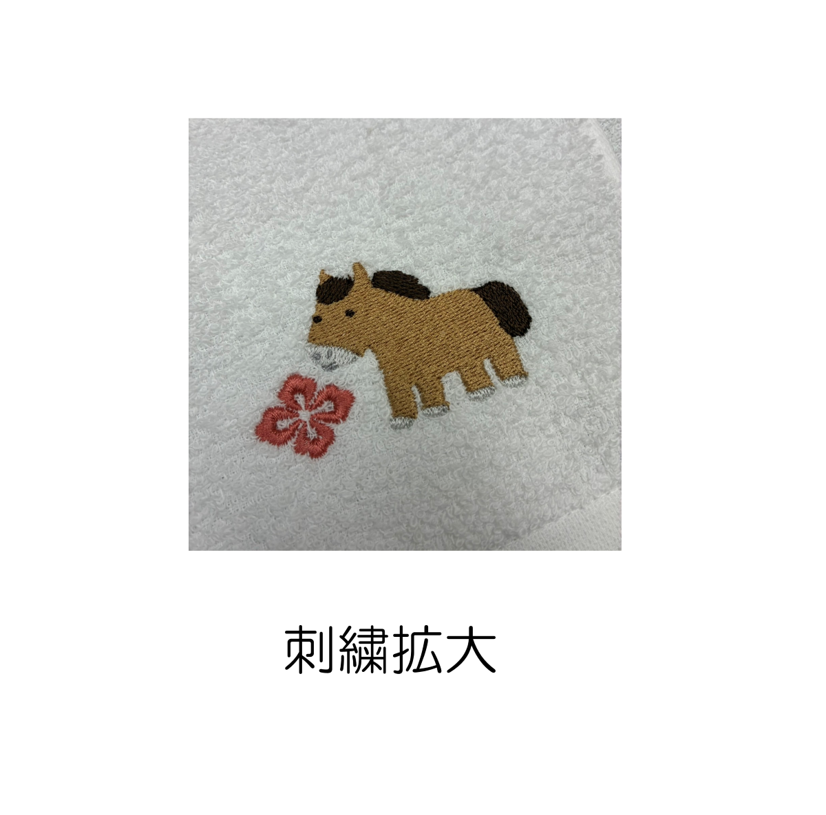 ���ٻɽ��ե�����������(��)