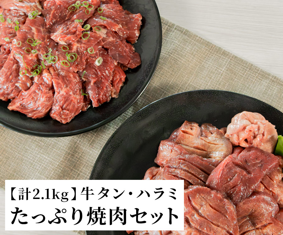 牛タン・ハラミ たっぷり焼肉セット