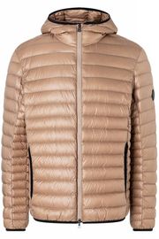 ��SALE 40%��BOGNER �ܥ��ʡ� ��� ������ ����ʡ����㥱�å� 8147-7261 ARESO-D 815