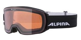 ALPINA アルピナ スキー ゴーグル A7279 NAKISKA Q ブラックマット