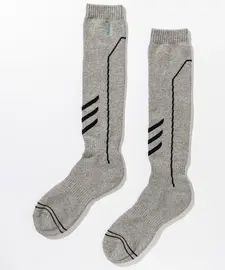 Phenix �ե��˥å��� ��� ������ ���å��� ESM25SO11 Phenix Ski Mens Line Socks GRAY