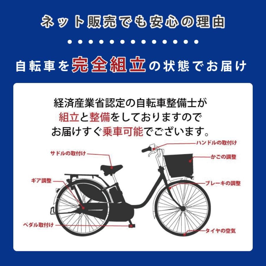 PELTECH ペルテック 電動自転車 折り畳み TDN-206L 20インチ 8Ah