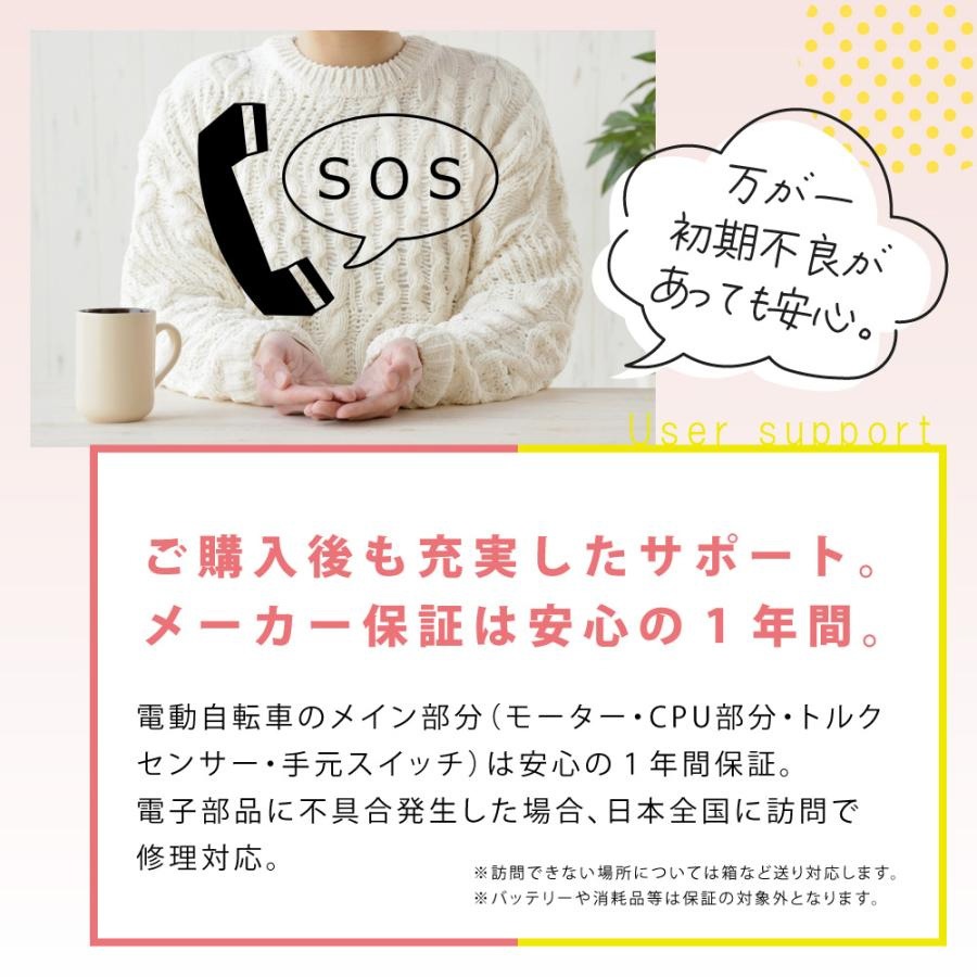 PELTECH ペルテック 電動自転車 TDH-408L 24/20インチ 8Ah