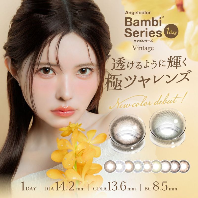 1day Angelcolor BambiSeries vintage 14.2mm �׼�ĤФ� ���ǡ� ���󥸥��륫�顼 �Х�ӥ��꡼�� ������ơ��� (1Ȣ10������)