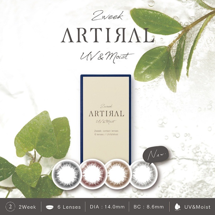 2week artiral UVM 14.0mm  ƥ (1Ȣ6)