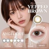 1day ANGELIQUE 14.2mm Yeppeo Brown �����åݥ֥饦�� ���ǡ� ���󥸥��꡼�� (1Ȣ10������)