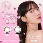 [] 1day MOLAK TORIC 14.2mm ƺ ǡ 饯 (1Ȣ10)