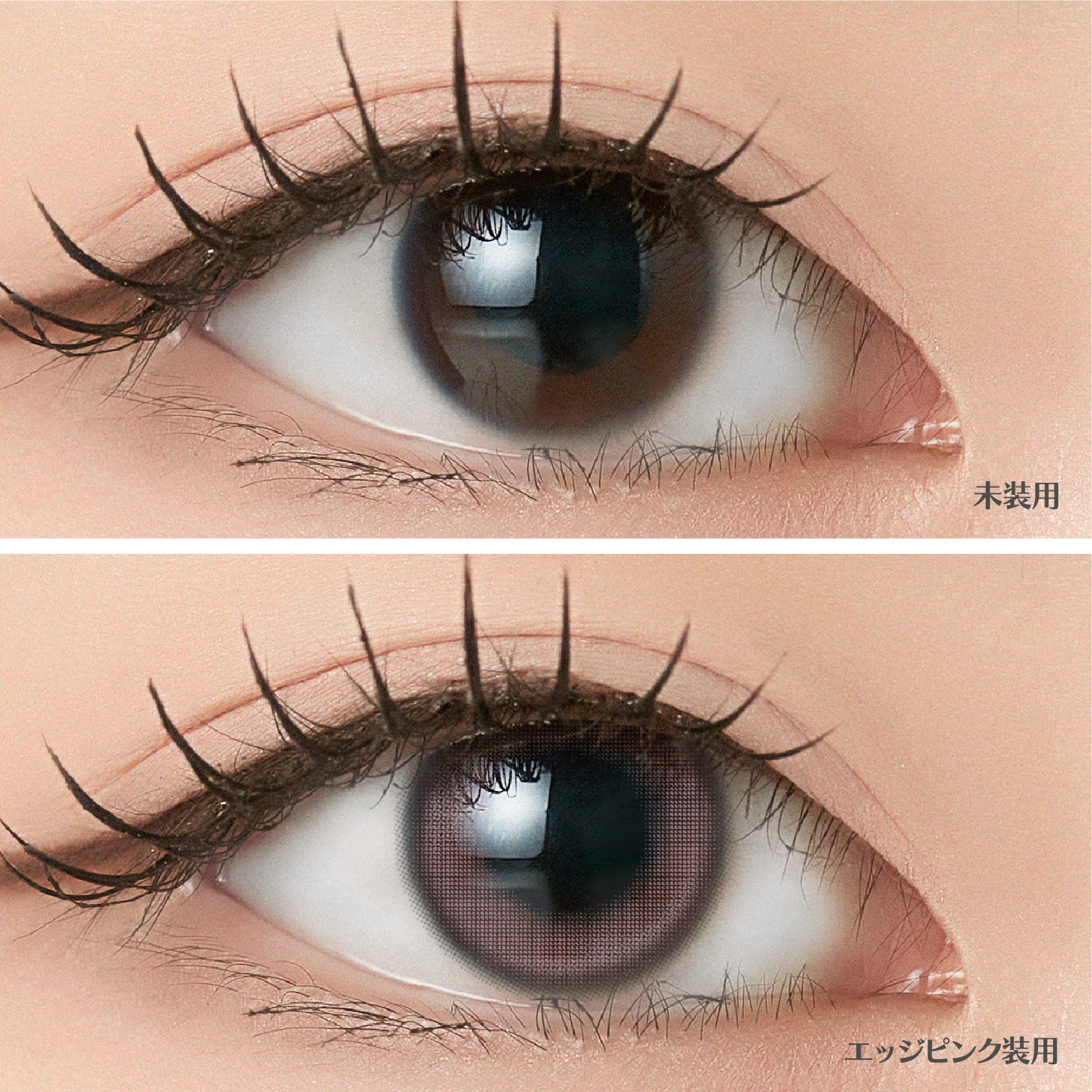 [2Ȣ�ʾ�Ʊ��������20��OFF] 1day ANGELIQUE 14.2mm 14.5mm i-dle SOYEON ����� ���ǡ� ���󥸥��꡼�� (1Ȣ10������)