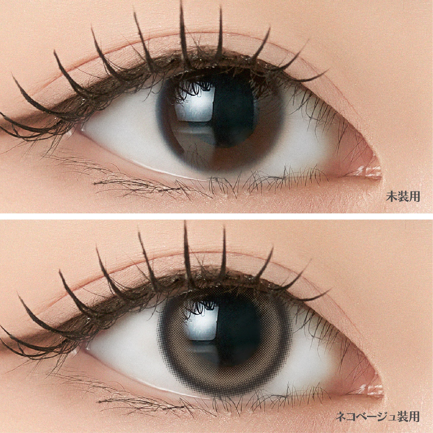 [2Ȣ�ʾ�Ʊ��������20��OFF] 1day ANGELIQUE 14.2mm 14.5mm i-dle SOYEON ����� ���ǡ� ���󥸥��꡼�� (1Ȣ10������)