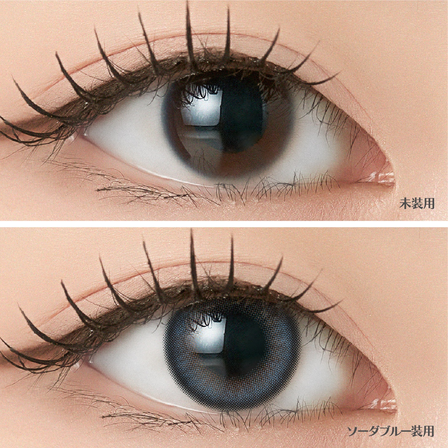 [2Ȣ�ʾ�Ʊ��������20��OFF] 1day ANGELIQUE 14.2mm 14.5mm i-dle SOYEON ����� ���ǡ� ���󥸥��꡼�� (1Ȣ10������)