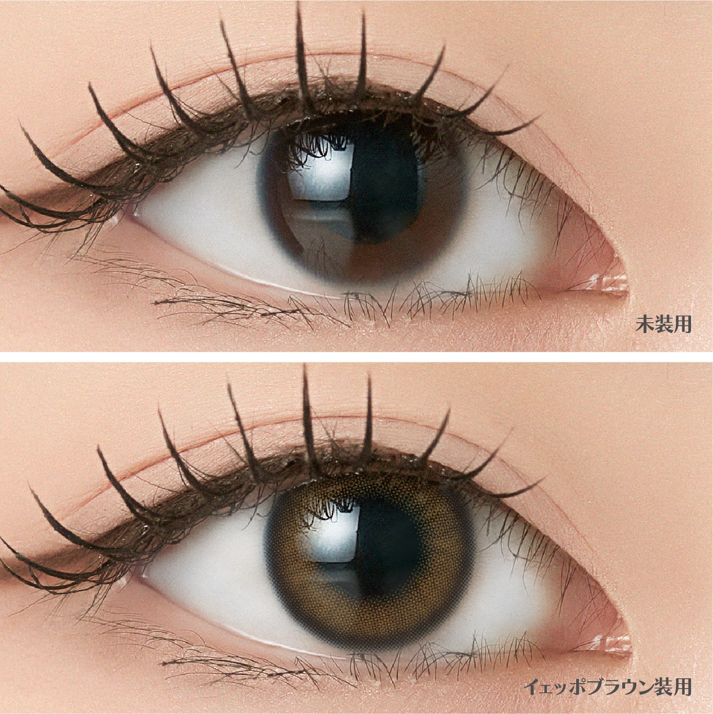 [2Ȣ�ʾ�Ʊ��������20��OFF] 1day ANGELIQUE 14.2mm 14.5mm i-dle SOYEON ����� ���ǡ� ���󥸥��꡼�� (1Ȣ10������)