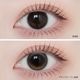 [2Ȣ�ʾ�Ʊ��������20��OFF] 1day ANGELIQUE 14.2mm 14.5mm ���ǡ� ���󥸥��꡼�� (1Ȣ10������)