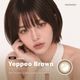 [2Ȣ�ʾ�Ʊ��������20��OFF] 1day ANGELIQUE 14.2mm 14.5mm ���ǡ� ���󥸥��꡼�� (1Ȣ10������)