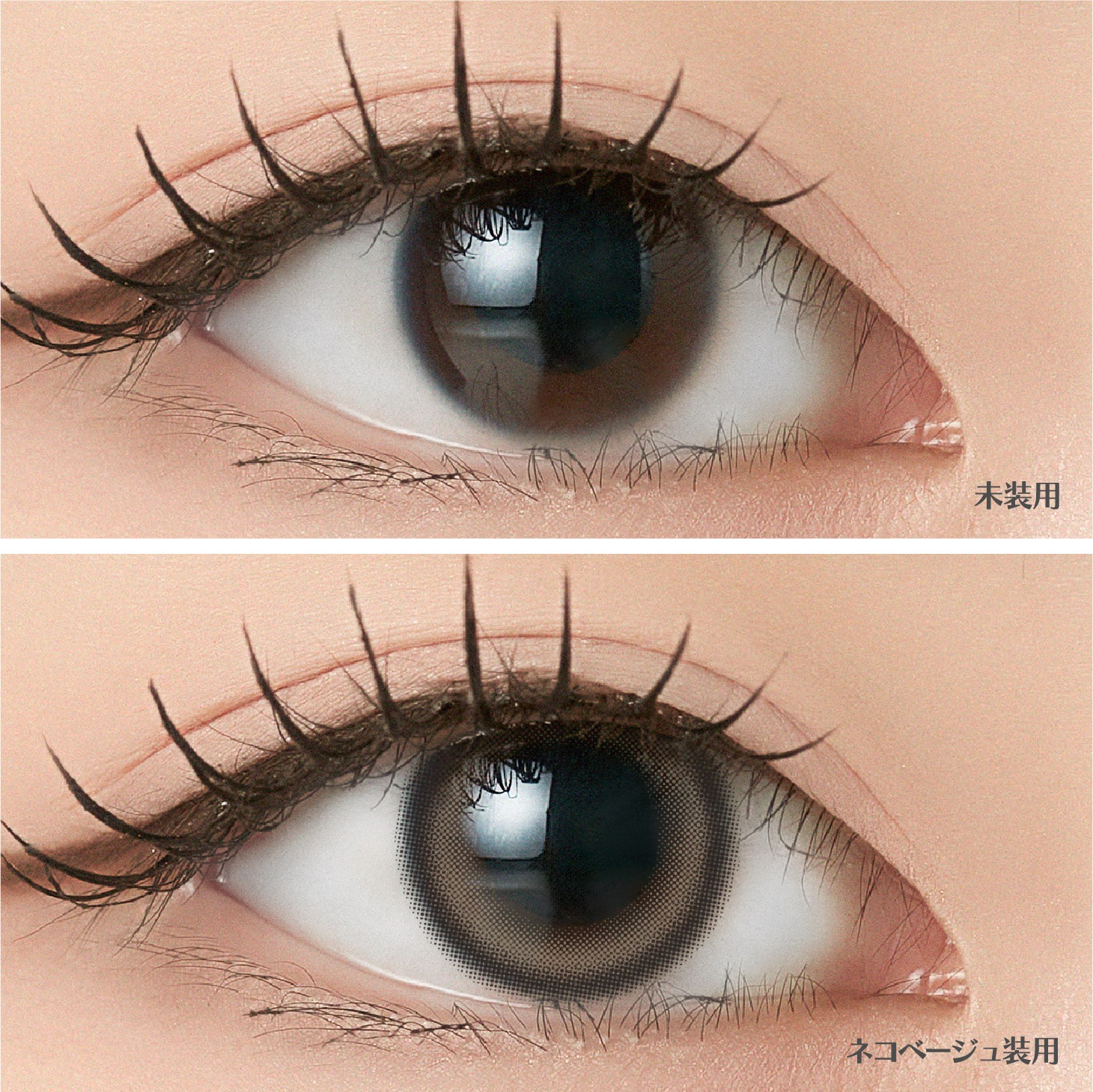 [2Ȣ�ʾ�Ʊ��������20��OFF] 1month ANGELIQUE 14.2mm 14.5mm i-dle SOYEON ����� �ޥ󥹥꡼ ���󥸥��꡼�� (1Ȣ2������)