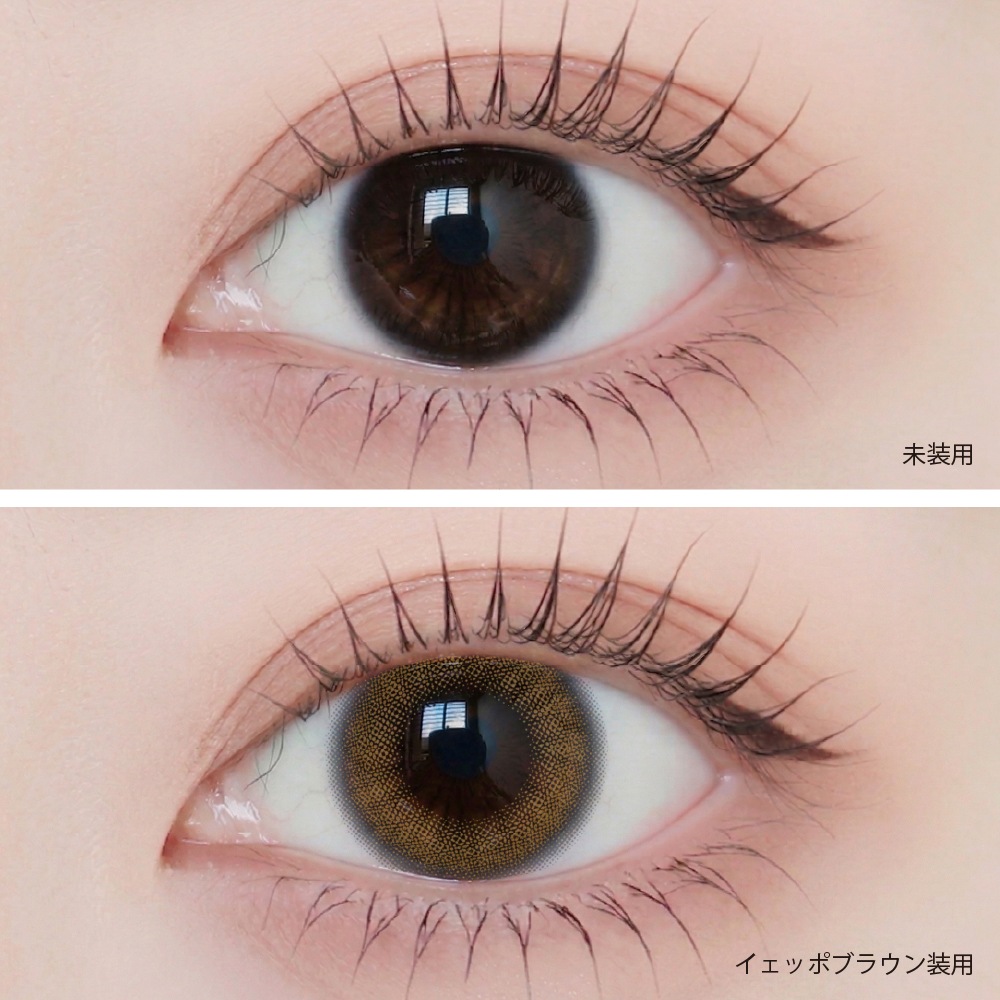 1day ANGELIQUE 14.2mm Yeppeo Brown �����åݥ֥饦�� ���ǡ� ���󥸥��꡼�� (1Ȣ10������)