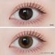1day ANGELIQUE 14.2mm Yeppeo Brown �����åݥ֥饦�� ���ǡ� ���󥸥��꡼�� (1Ȣ10������)