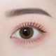 1day ANGELIQUE 14.2mm Yeppeo Brown �����åݥ֥饦�� ���ǡ� ���󥸥��꡼�� (1Ȣ10������)