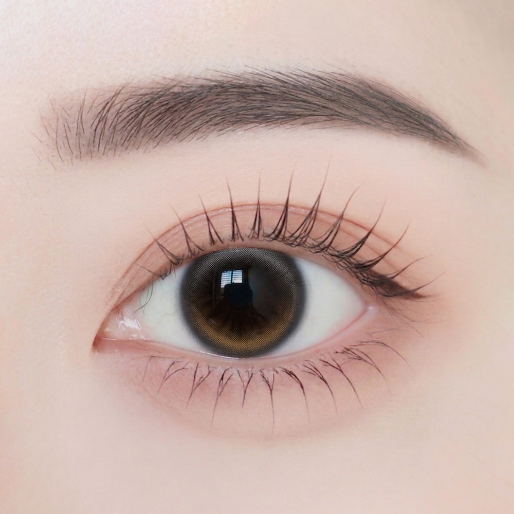 1day ANGELIQUE 14.2mm Sarang Greige ����󥰥졼���� ���ǡ� ���󥸥��꡼�� (1Ȣ10������)