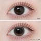 1day ANGELIQUE 14.2mm Sarang Greige ����󥰥졼���� ���ǡ� ���󥸥��꡼�� (1Ȣ10������)