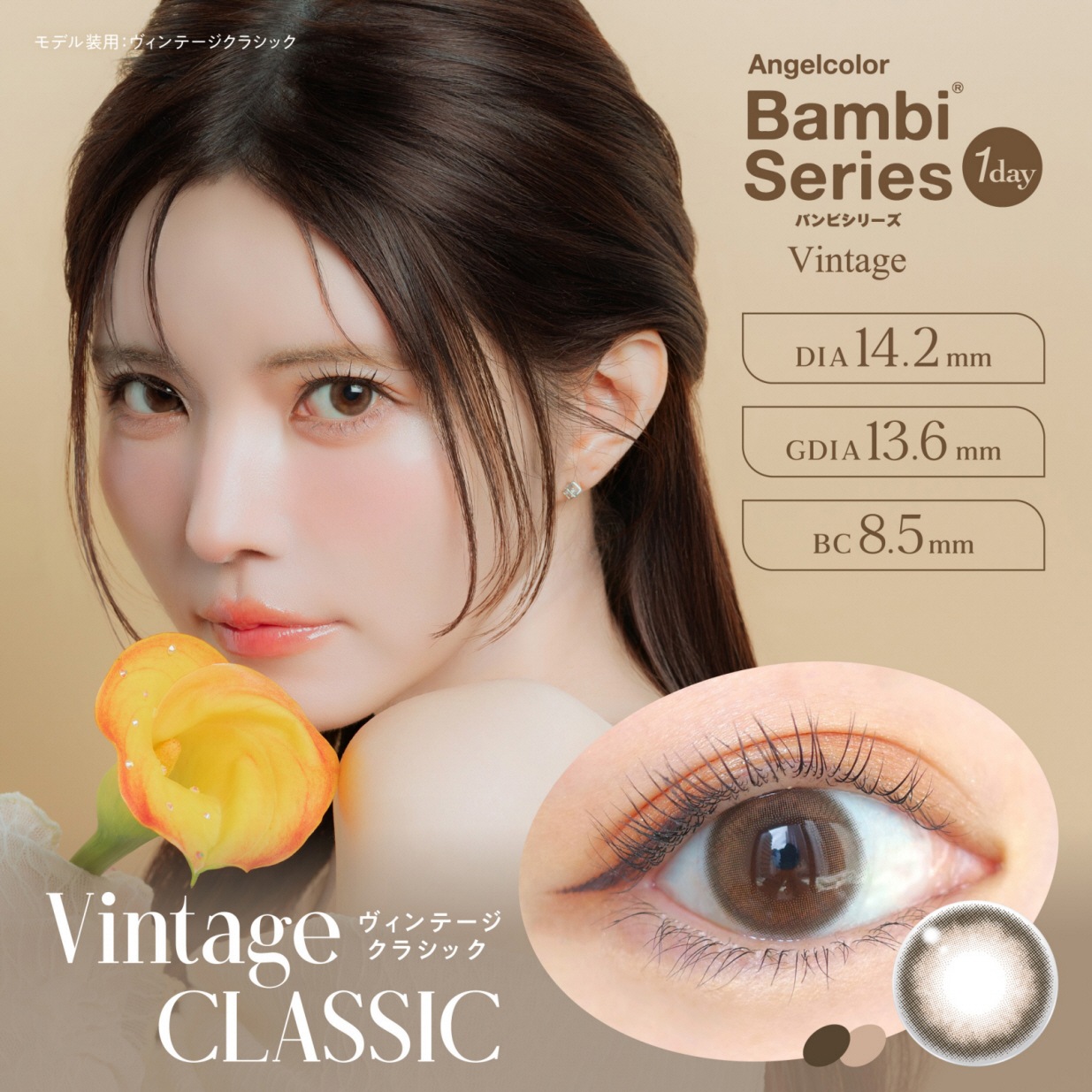 1day Angelcolor BambiSeries vintage 14.2mm ׼ĤФ ǡ 󥸥륫顼 Хӥ꡼ ơ (1Ȣ10)