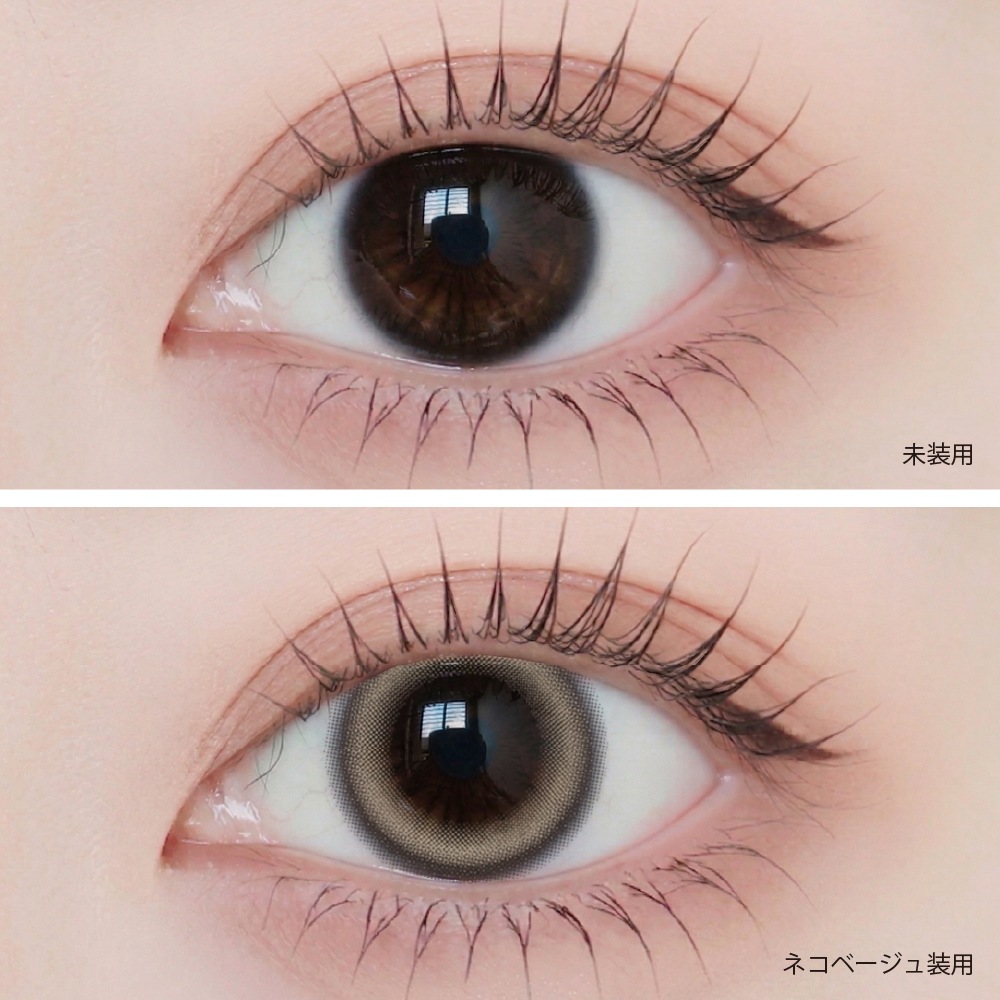 1month ANGELIQUE 14.5mm Neko Beige �ͥ��١����� �ޥ󥹥꡼ ���󥸥��꡼�� (1Ȣ2������)