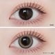 1month ANGELIQUE 14.5mm Neko Beige �ͥ��١����� �ޥ󥹥꡼ ���󥸥��꡼�� (1Ȣ2������)