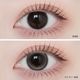 1month ANGELIQUE 14.5mm Luna Gray  ��ʥ��졼 �ޥ󥹥꡼ ���󥸥��꡼�� (1Ȣ2������)