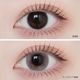 [2Ȣ�ʾ�Ʊ��������20��OFF][2Ȣ���å�] 1day ANGELIQUE 14.2mm 14.5mm ���ǡ� ���󥸥��꡼�� (1Ȣ10������)