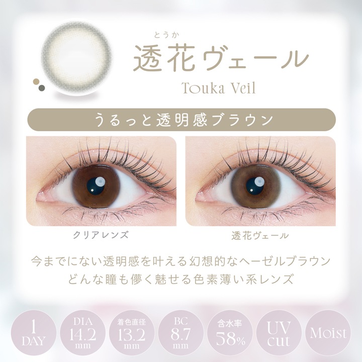 [2Ȣ������1Ȣ̵��] 1day Kaica 14.2mm ������� ���ǡ� ������ (10������)