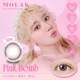 [3Ȣܤ̵]1day MOLAK 14.2mm 14.5mm ƺ ǡ 饯 (1Ȣ10)