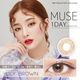 [1Ȣ������2Ȣ̵��] 1day MUSE 14.2mm �ӥ�� ������ ���ǡ� �ߥ塼�� by momocolor (1Ȣ10������)