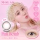 1month MOLAK 14.2mm 14.5mm ƺ ޥ󥹥꡼ 饯 (1Ȣ2)