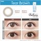 [2Ȣ���å�] 1day Belleme by eyecoffret 14.2mm ���ǡ� �٥�ߡ��Х��������ե�  (1Ȣ30������)