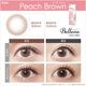 [2Ȣ���å�] 1day Belleme by eyecoffret 14.2mm ���ǡ� �٥�ߡ��Х��������ե�  (1Ȣ30������)