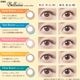[2Ȣ���å�] 1day Belleme by eyecoffret 14.2mm ���ǡ� �٥�ߡ��Х��������ե�  (1Ȣ30������)