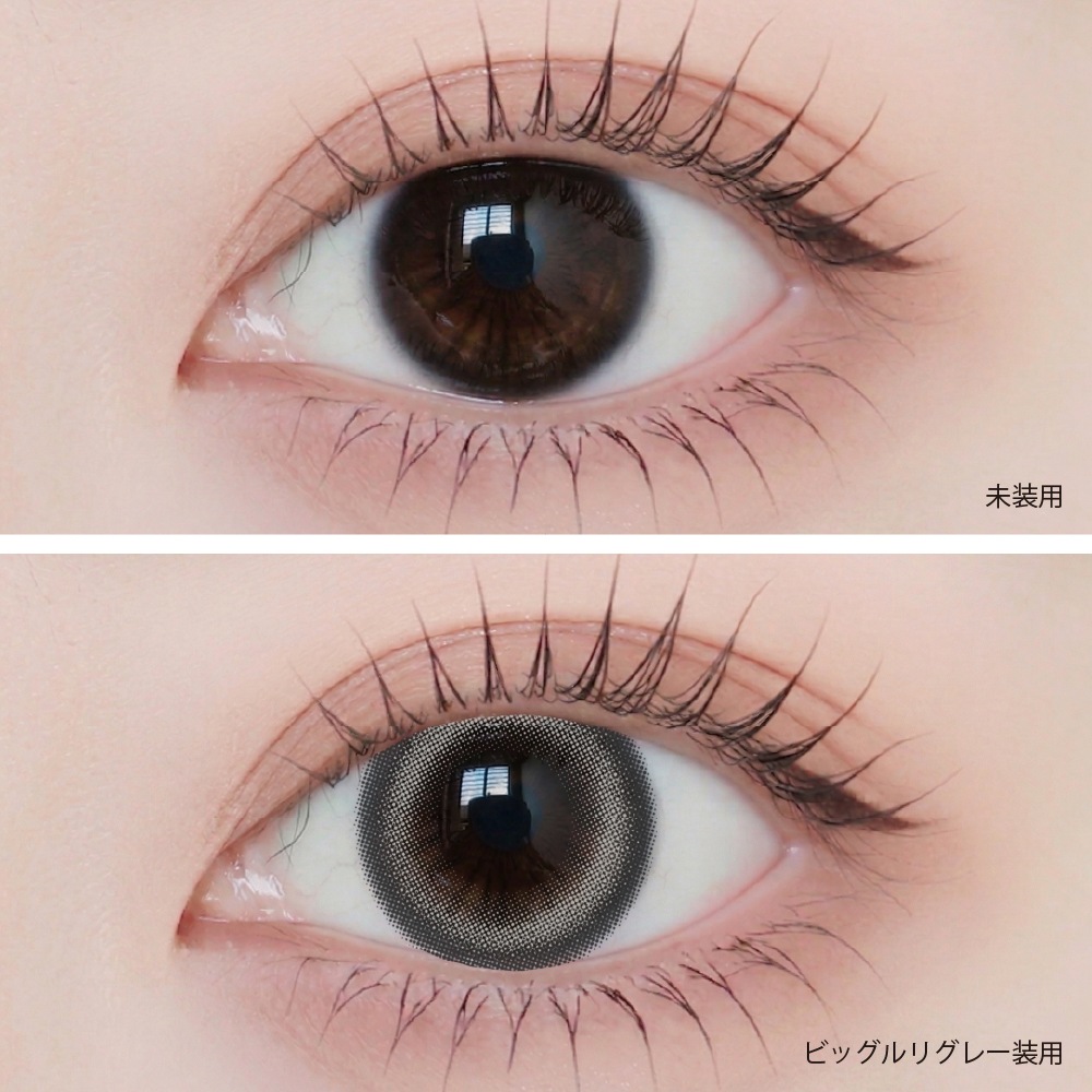 1month ANGELIQUE 14.5mm Big Luri Gray �ӥå���ꥰ�졼 �ޥ󥹥꡼ ���󥸥��꡼�� (1Ȣ2������)