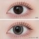 1month ANGELIQUE 14.5mm Big Luri Gray �ӥå���ꥰ�졼 �ޥ󥹥꡼ ���󥸥��꡼�� (1Ȣ2������)