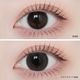 1month ANGELIQUE 14.5mm Stella Black ���ƥ�֥�å� �ޥ󥹥꡼ ���󥸥��꡼�� (1Ȣ2������)