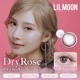 1day lilmoon ꥳ󥷥꡼ 14.0mm  ǡ ࡼ ꥳ󥷥꡼ (1Ȣ10)