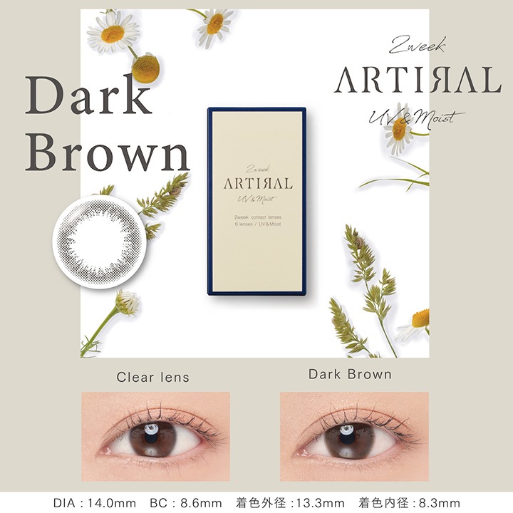 2week artiral UVM 14.0mm  ƥ (1Ȣ6)